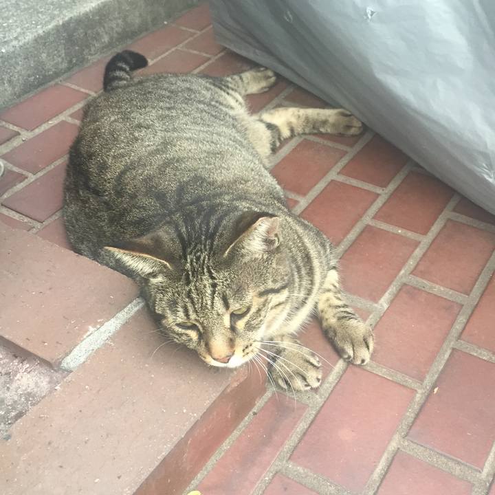 4bddb366 c2d2 4f86 846b c42bfa663d82