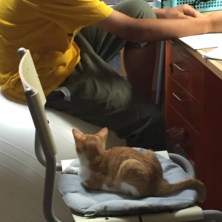 4bddd44a b69d 4020 a150 8cfb7f578c28