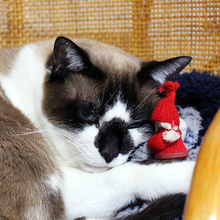 4bde512a 69e8 4c0c 895d c55e20008c44