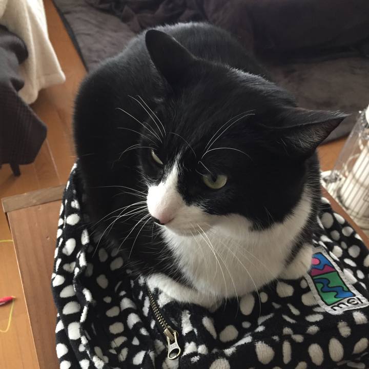 4bdecaaa 8e83 446d 8df9 ca68bfa19512