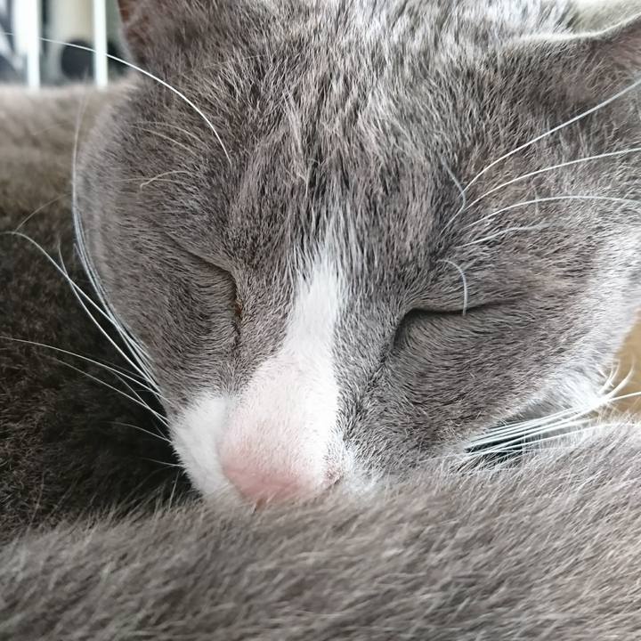 4bdf3f64 1c33 479f bc32 fe02678721e1