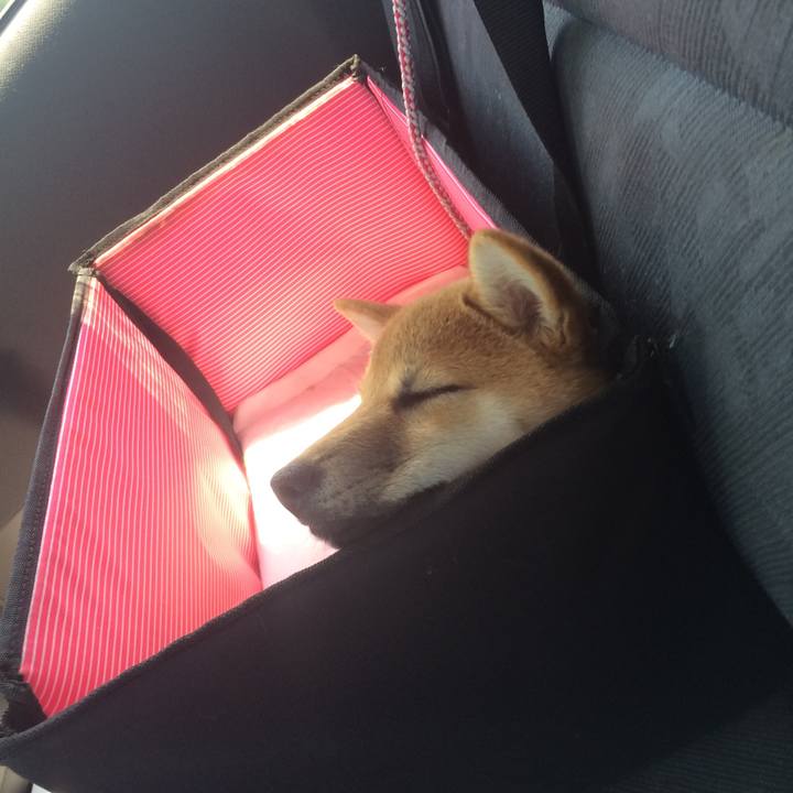 4be002c5 391e 4c5a 991f 9b6a321efec4