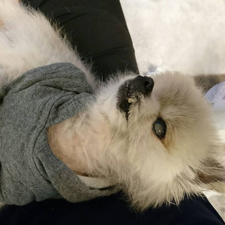 4be06672 e9aa 4343 bc7d a739df5ab275