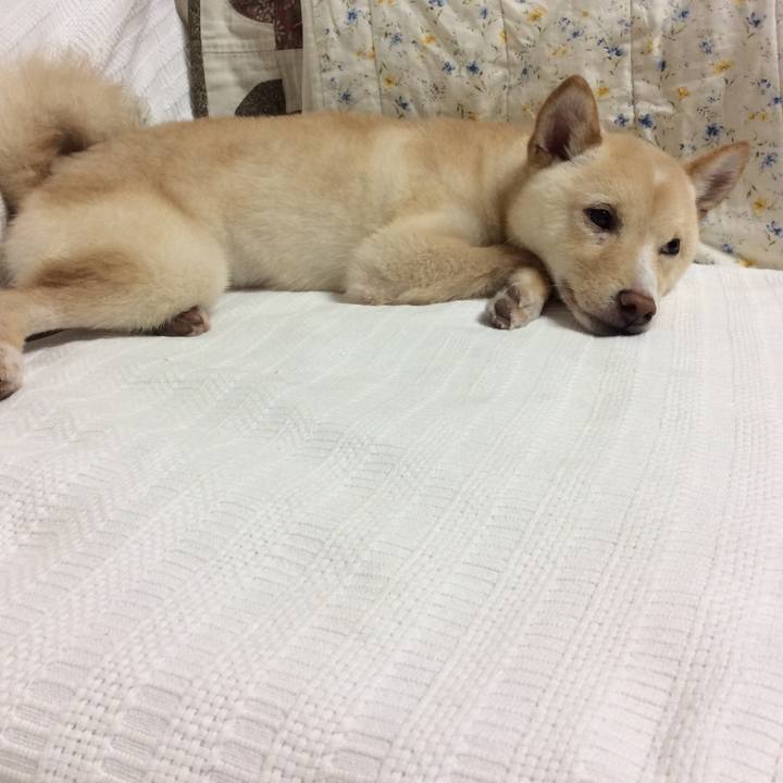 4be0b7f5 230a 4946 8772 86a004581a0f