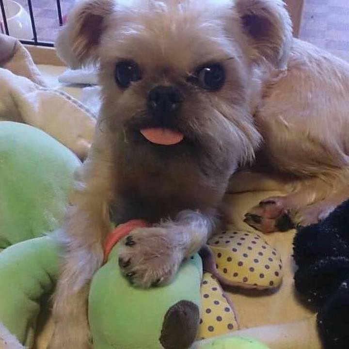 4be0fbb9 ad9d 4e27 8682 b69dc475e7c8