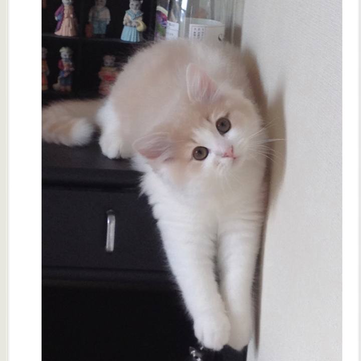 4be13680 dd09 4c91 983f 6fc0ea4da01c