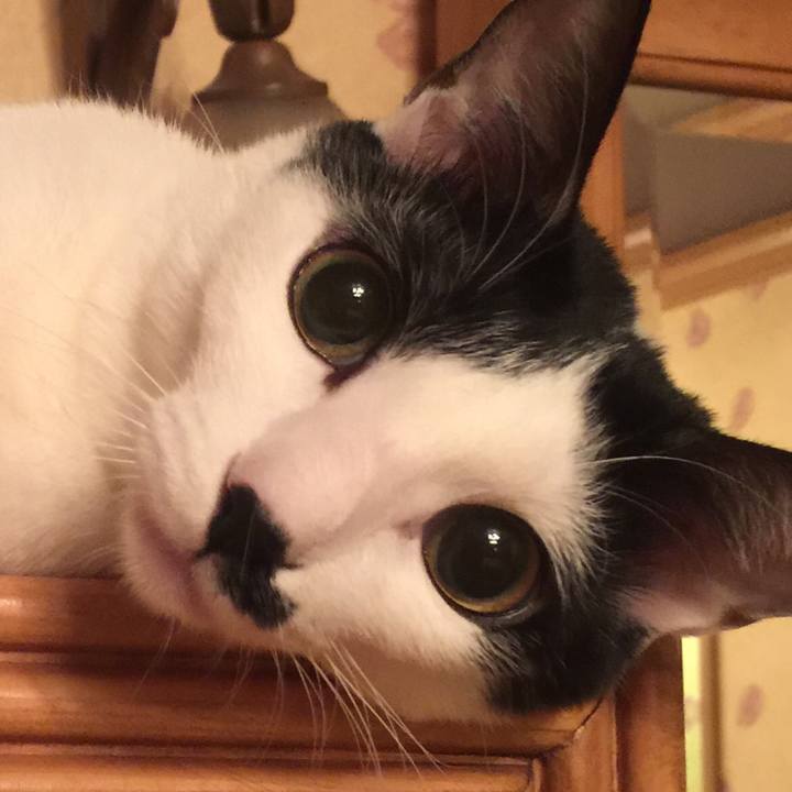 4be251c1 152c 412e be5f 8a3a15ec742e