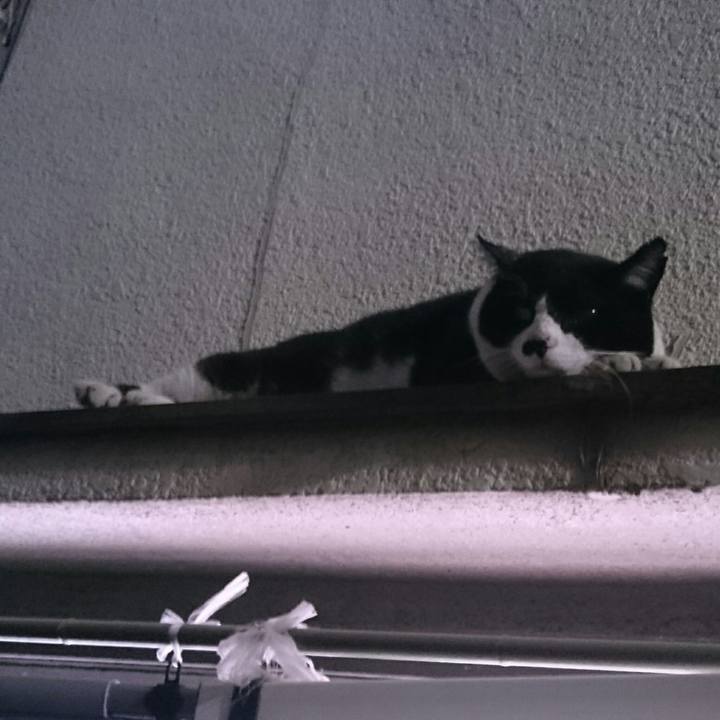 4be252b0 54b1 4950 953d 140052767aa0