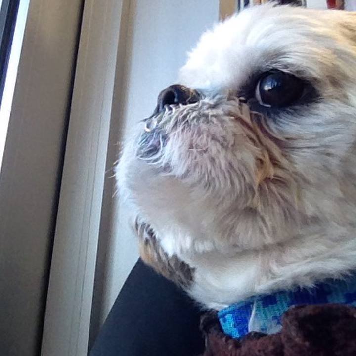 4be25602 6780 4a81 8c3f 2d8d9c78810d