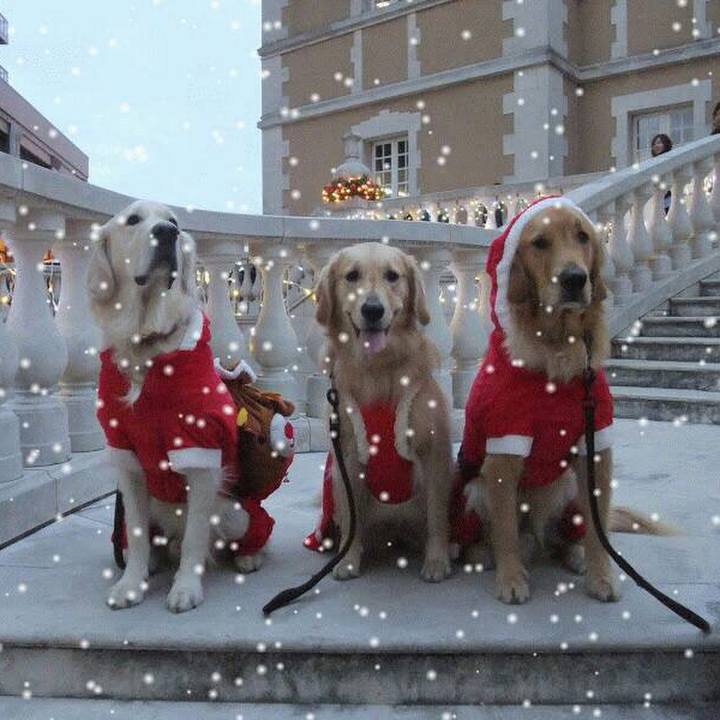 4be273d9 2e4d 4b4d 806e fb9c86d3575f