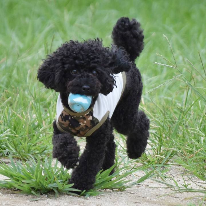 4be282cb 3533 4d57 9f0c 03a347d351b8