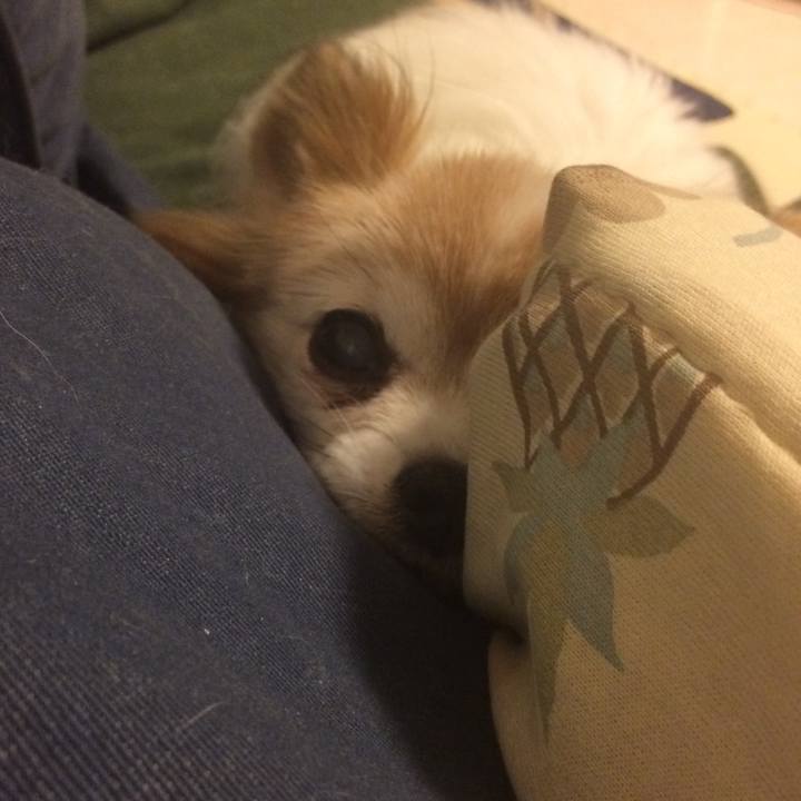 4be2bfce 401b 4fa9 8085 98f961578b48