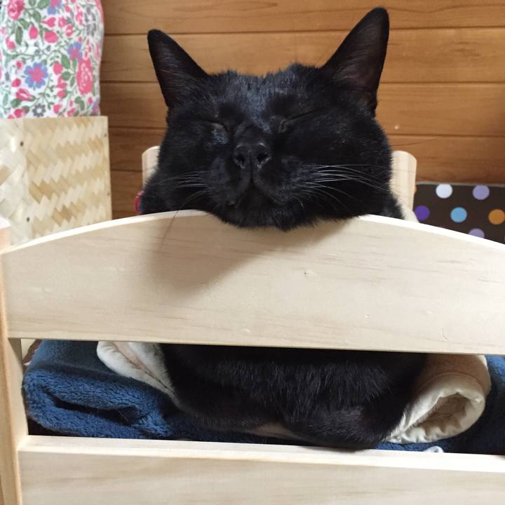 4be3c1bf b3d5 4e09 a8ed 6c8001f02735