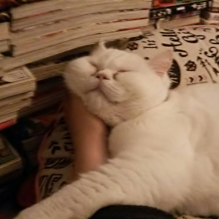 4be3dbc2 5cf5 45fc 9afa 5503ad084e1c