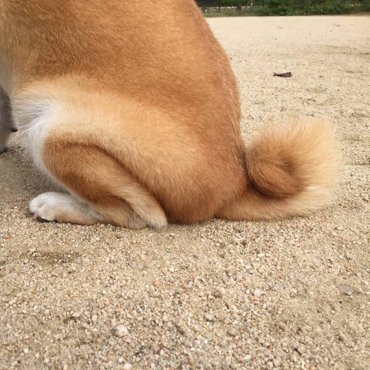 4be451de 7a1d 49bb 9891 4ab1be1e54b2