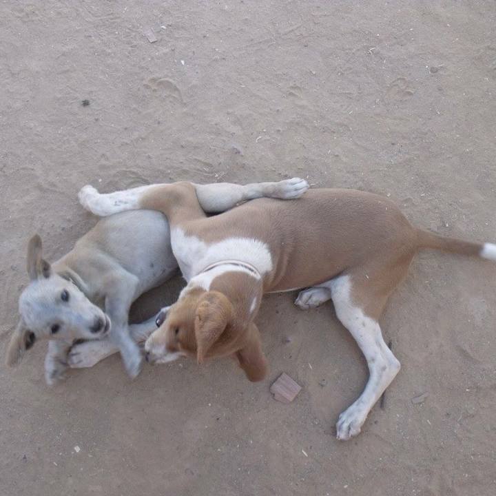 4be482f2 958b 4d3a a7ee b523acda17cb