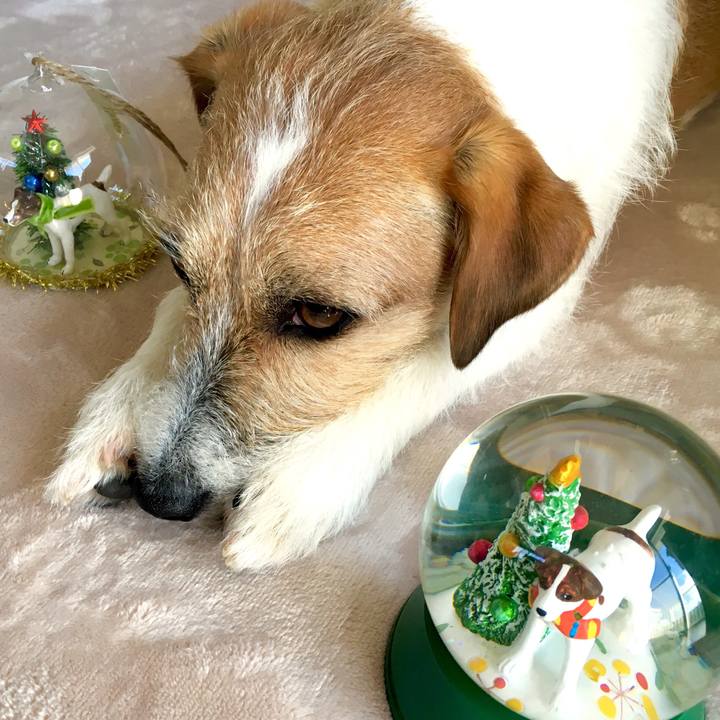 4be4c13d e3b1 4d19 a354 906d44b7a540