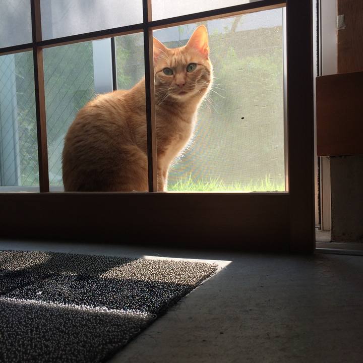 4be4fa29 5c04 4f1a a84e c6c5144f3358