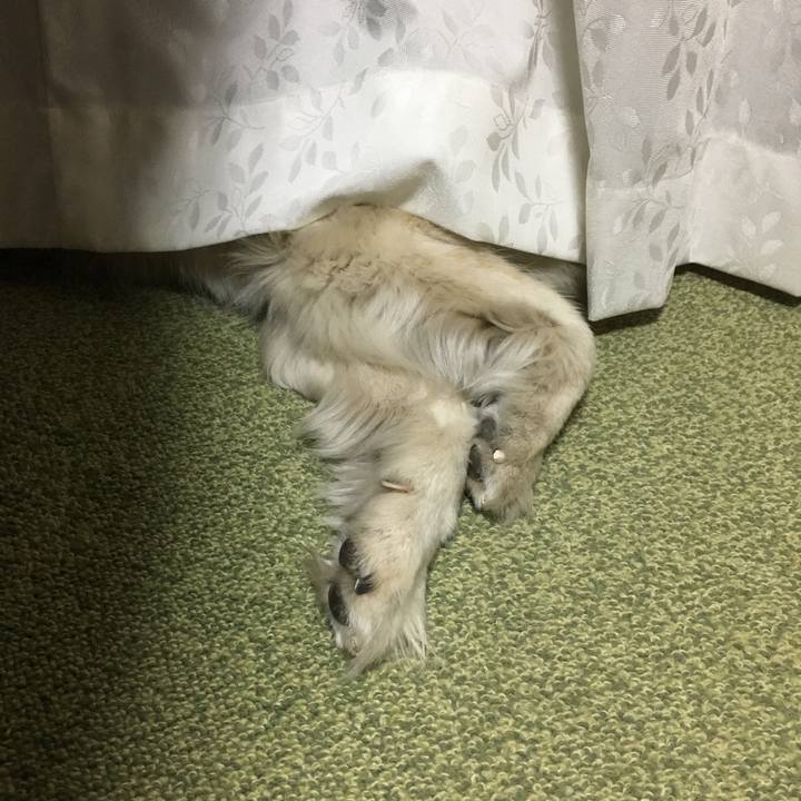 4be57156 1482 48e9 b572 4e5198518154