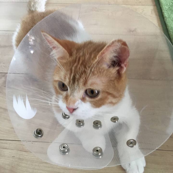 4be581b9 f63f 4fd8 ba09 5b6cb709dc8d