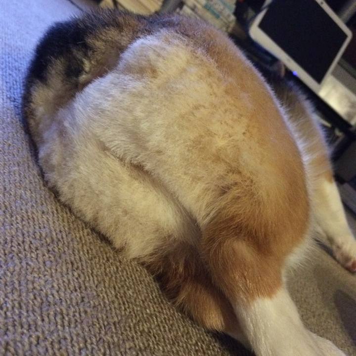 4be5dd69 cd99 42fd 8355 c7bcda45b548