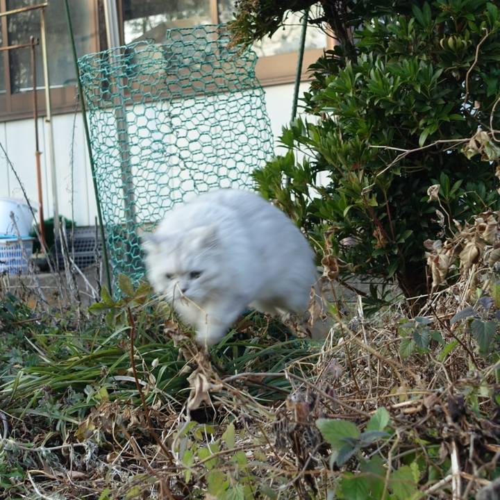 4be5df94 4655 4a55 a0ac 1adbebff9e82