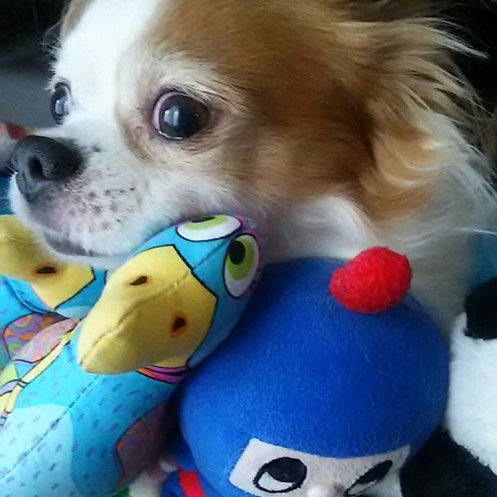 4be627ef 3e6c 4028 bc22 f8feeb66476e