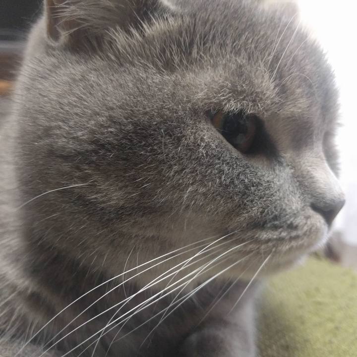 4be67306 1f2a 4bec 9d27 d65cdf17b4d2