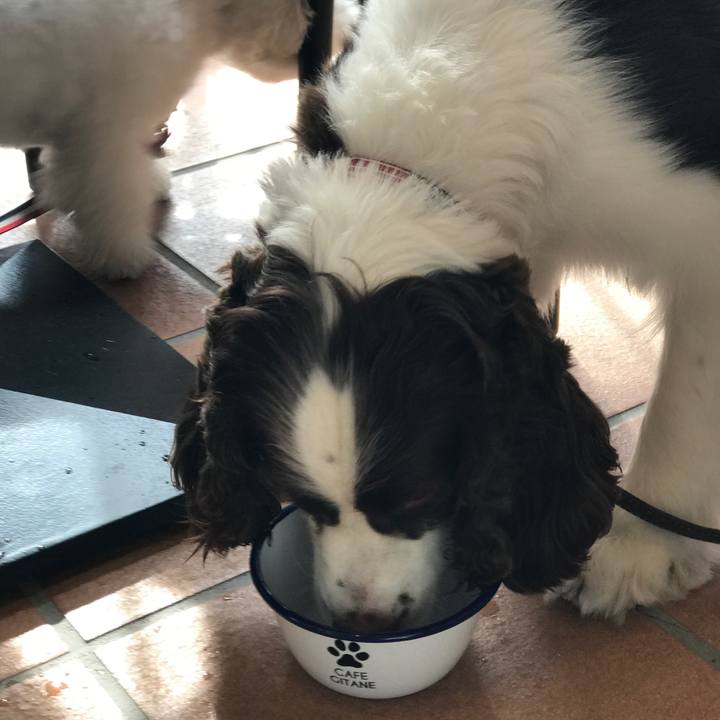 4be6a2af c3f8 4ca0 a6da 69583fe8f363