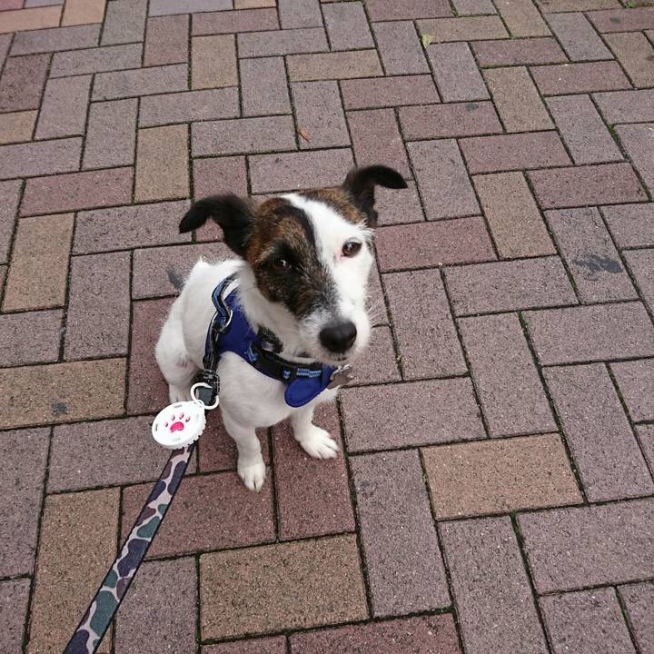 4be73ec2 96d0 41dd 83f5 d295b6467404