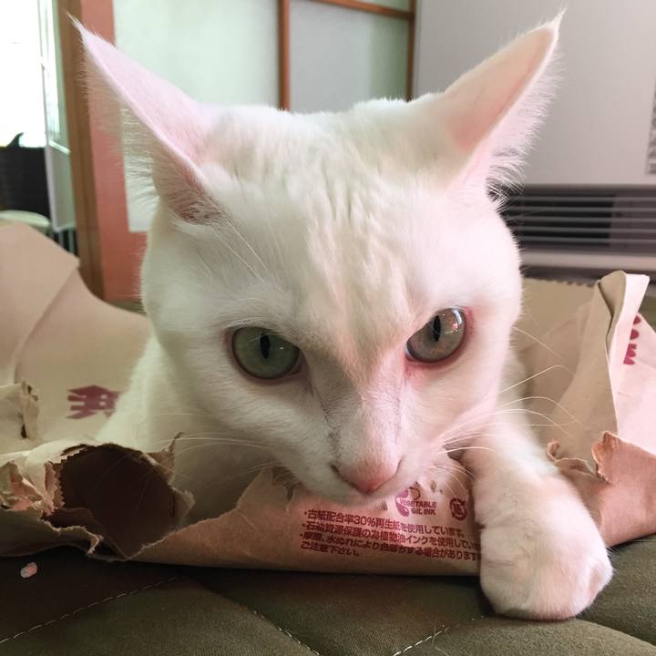 4be74cb7 e1cc 4f62 9893 463a516b1e7f