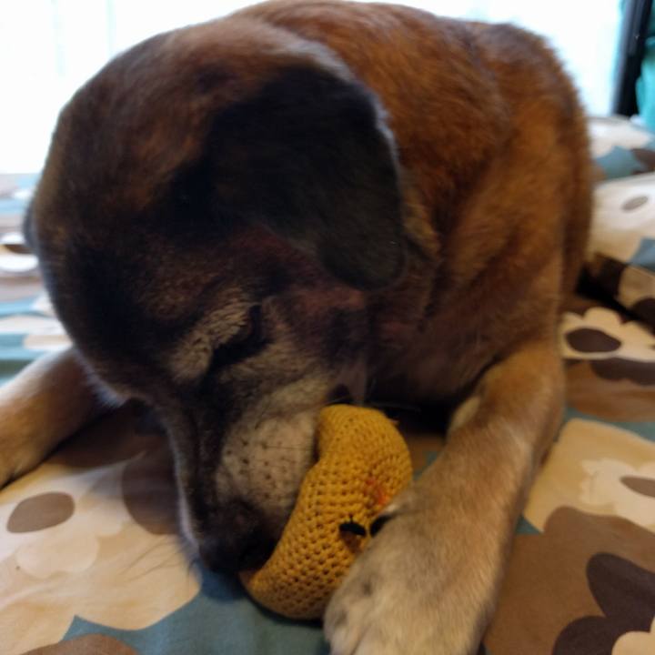 4be772fb 55f4 4c95 9553 231cbda3c791