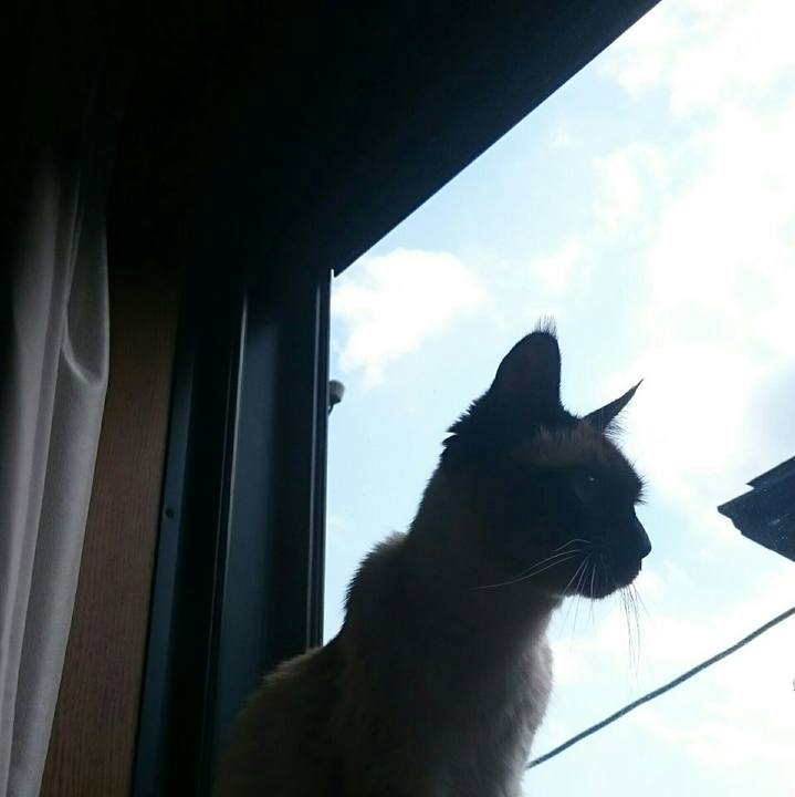 4be7b14d 22ad 47b8 8d03 a5bf6b285c30