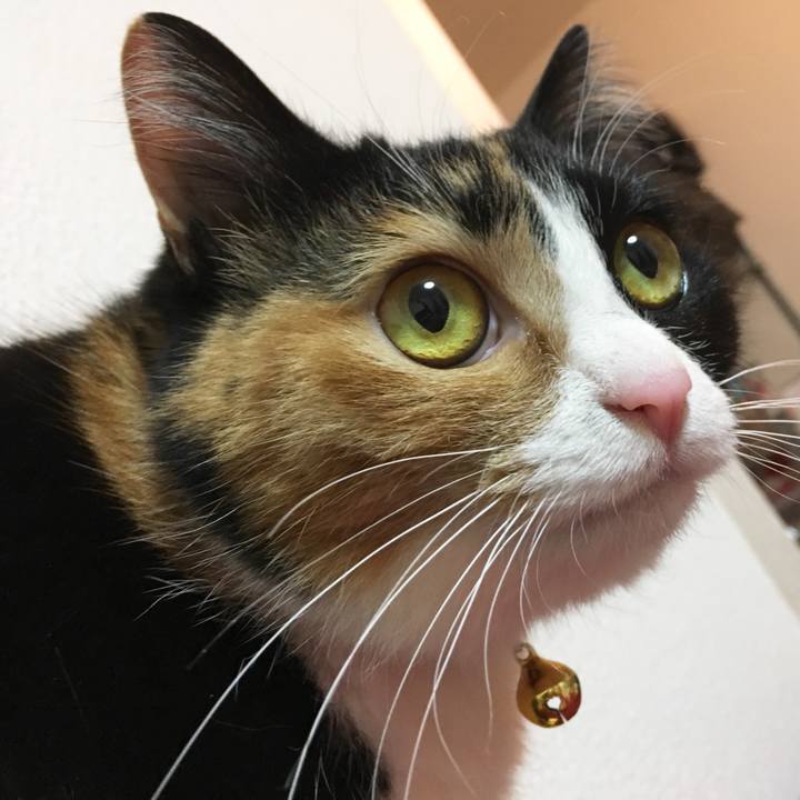 4be7e748 935a 41eb 9e61 24c729c284a3