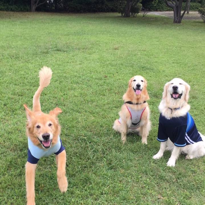 4be89df0 7176 4c01 88a0 12c0442980ac