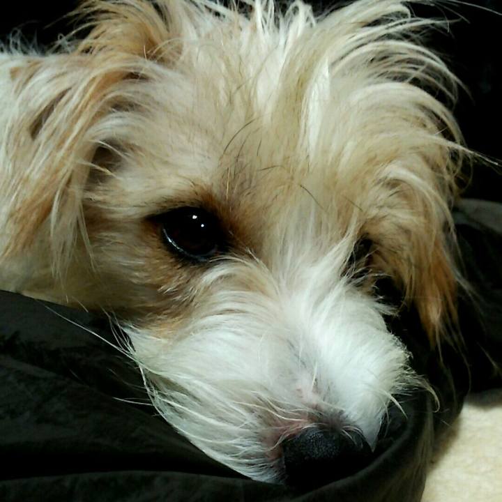 4be91503 b3aa 4131 a067 66d634b7f930