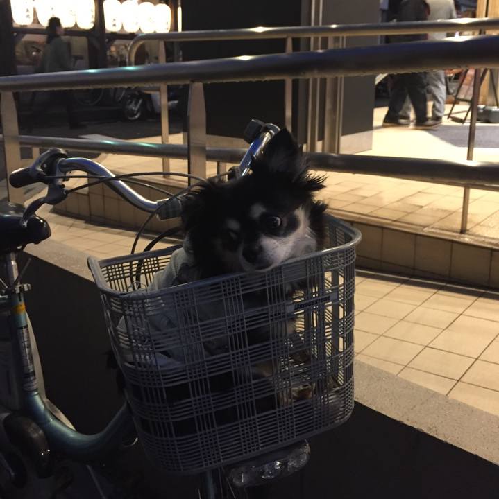 4be972cf 4fc2 4604 ab06 ed17dcfd030f