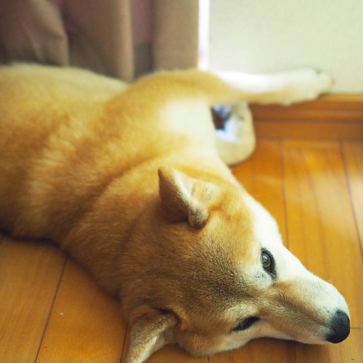 4be993ea 734f 4201 bc3f 7a4ded0d1358