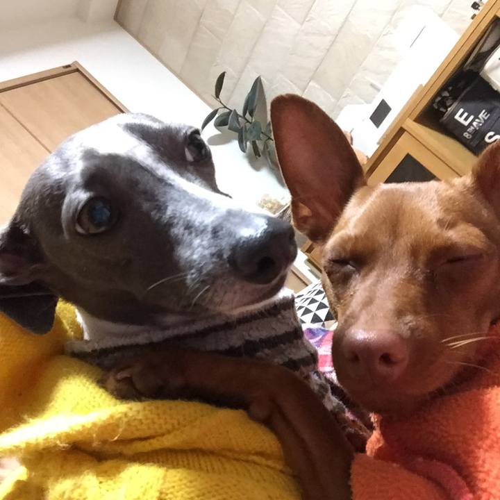 4be9cc39 ee41 45e2 a412 9ef21f6cf57d