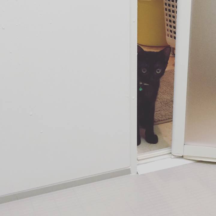 4bea2a87 ae31 4866 9937 0b3c98637645