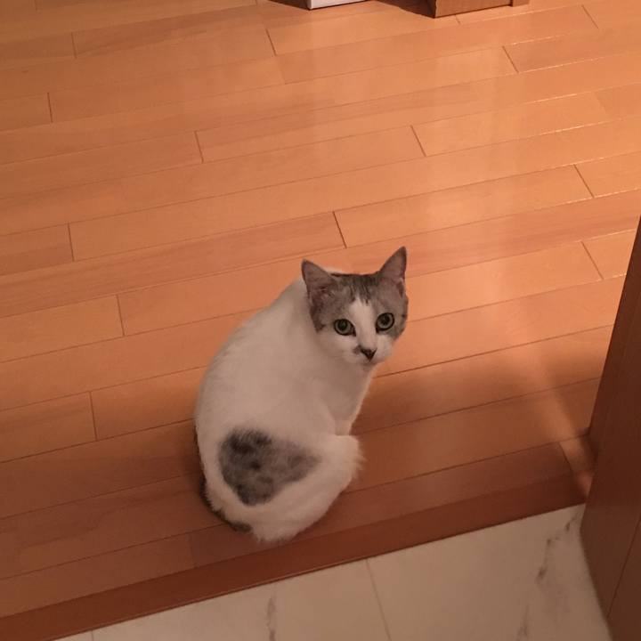 4bea6ab1 444f 4d2c 881a c32f55ebcaa9