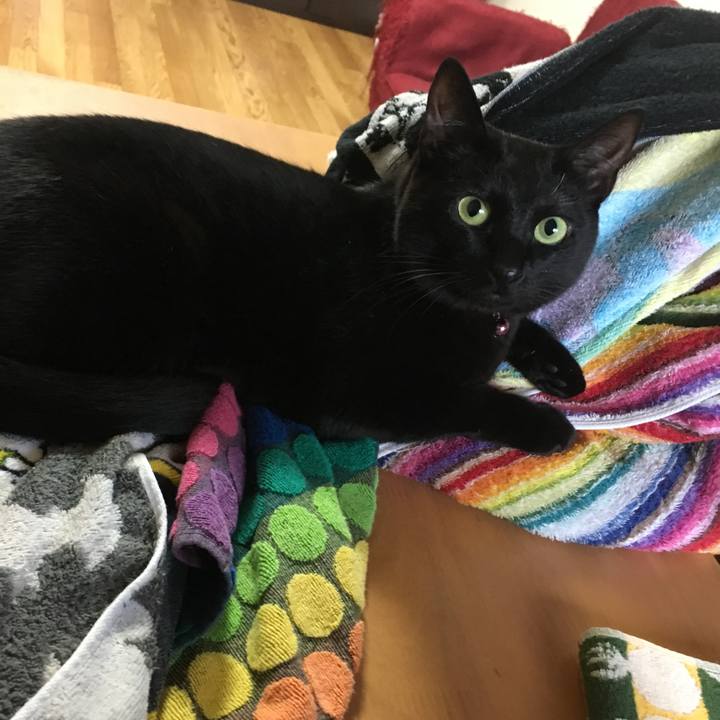 4beaabd7 03b3 42da aed6 db0b77490079