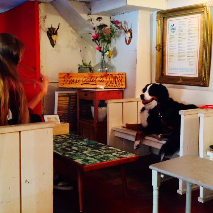 4beab90c 3dfa 424b bde3 5e90da17570d