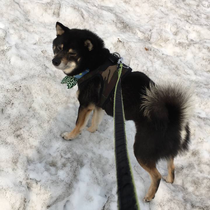 4bebace3 a6fc 4b26 ab5e c115ba403942