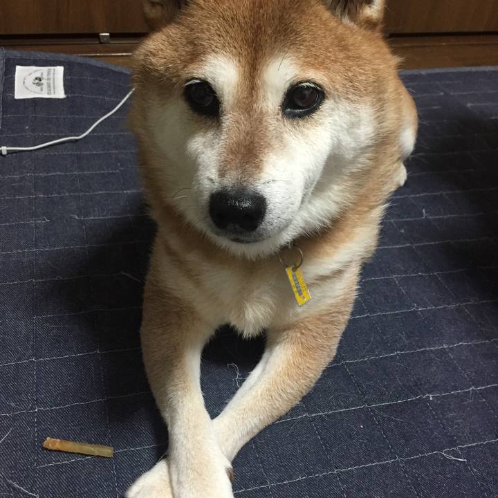 4bebbfd1 e4e5 4cf7 aac7 59037ecfa305