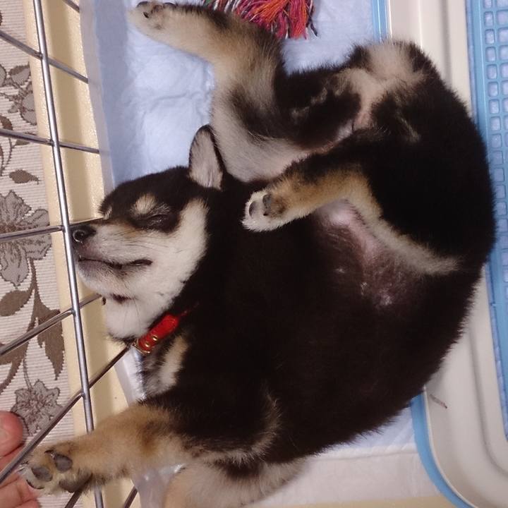 4bec5c22 fbfa 43d4 9613 ce0f547d4d1b