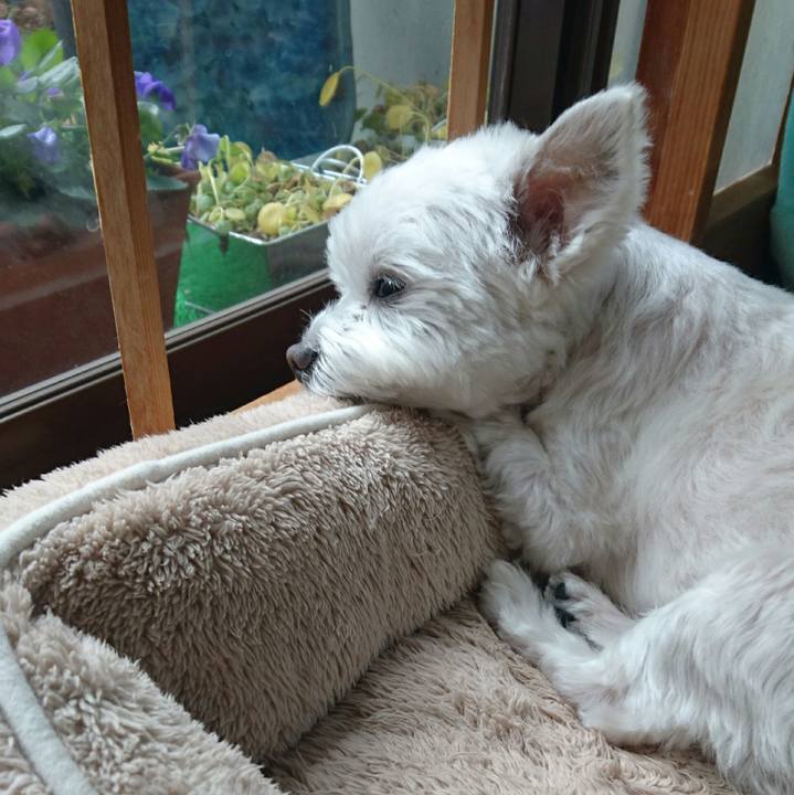 4bec8f1a b044 40a9 9c74 0d766980bdd1