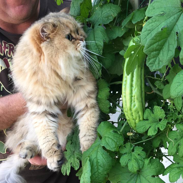 4becfdf2 c8b7 4681 954e f70cac211d09