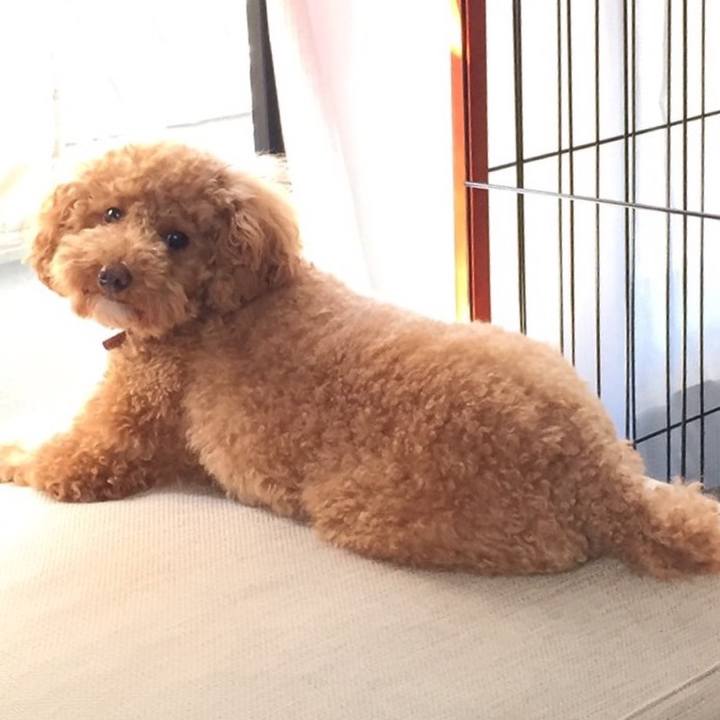 4bed170e f8fa 41c7 9d44 d37c74e01c7d