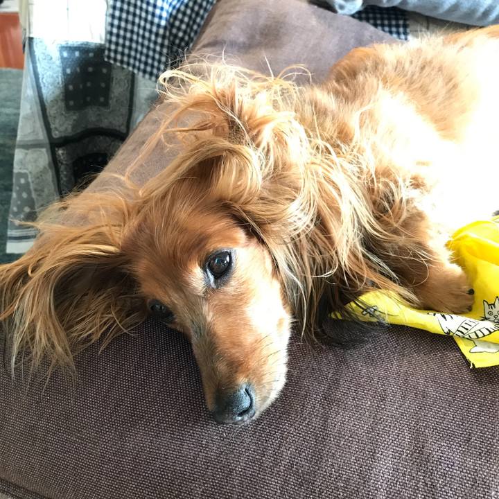 4bee2447 0bc3 4ae2 be62 442bc0d432ef